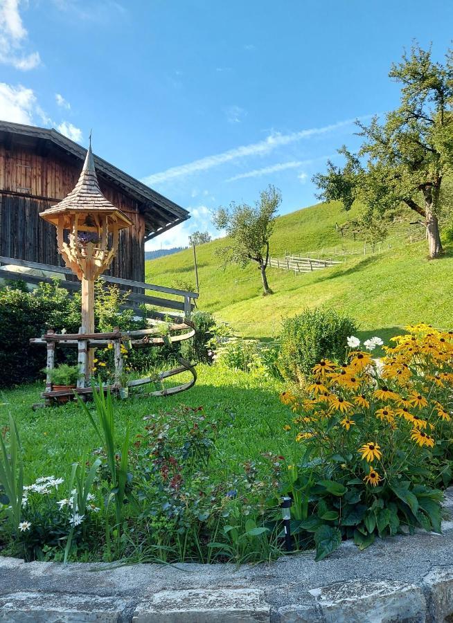 Almhof Grub Villa Wagrain Exteriör bild